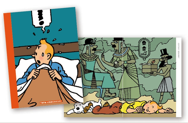 TINTIN: REVE & IMAGINAIRE - agenda 2015 15 x 21 cm