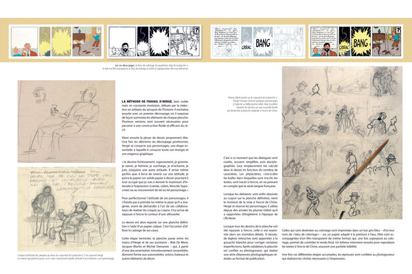 TINTIN L'Affaire Tournesol - la version du journal Tintin Editions Moulinsart | Casterman 2025 (720012)