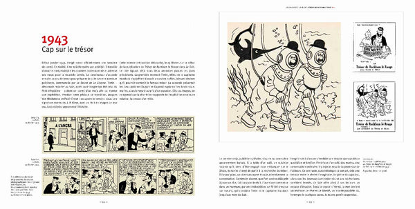 Tintin, Les coulisses d'une oeuvre N°12: Le Trésor de Rackham le Rouge, par Philippe Goddin et Dominique Maricq