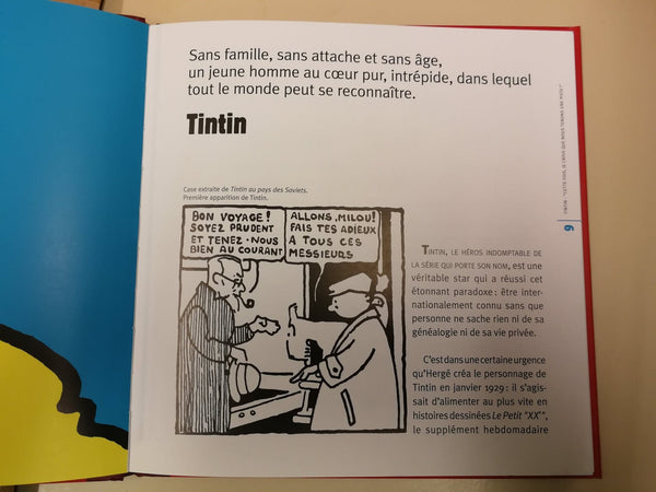 TINTIN: LIVRE PERSONNAGE TINTIN