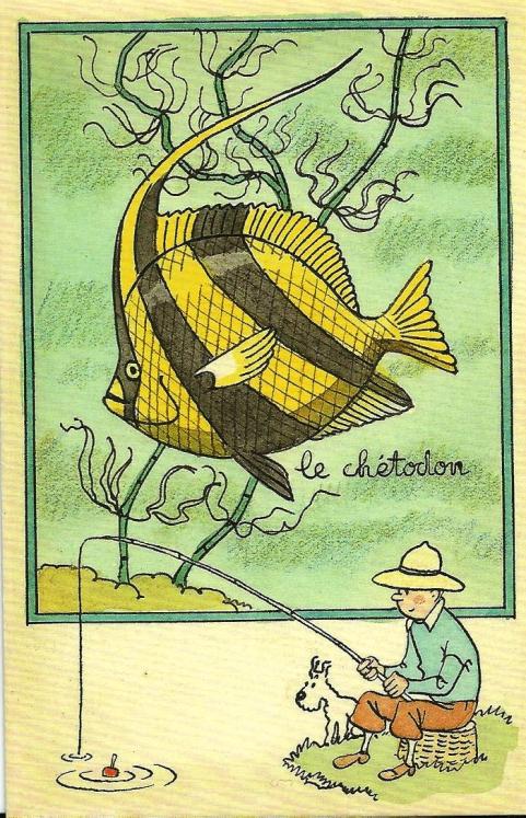 TINTIN: LE CHETODON - carte postale 9 X 14 cm