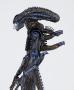 ALIENS: ALIEN WARRIOR REVOLTECH #016 - figurine articulée 15 cm